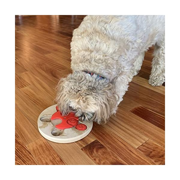 PetRageous-13006-Thinkrageous-Interactive-Advanced-Level-Puzzle-Piece-Dog-Toy-or-Cat-Toy-Measures-984-Inch-for-Dogs-and-Cats-or-Kittens-and-Ages-Red Advanced Level Puzzle Piece Dog Toy