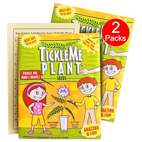 TickleMe Plant Seeds for Indoor Planting (2-Pack) – Touch-Sensitive Plant That Closes Leaves When Touched – Easy Indoor House Plant Seeds – Fun Educational Activity for Kids & Adults