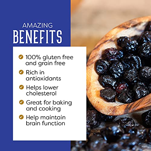 Puroraw HU-XI-201 Dried Blueberries No Sugar Added thumb #2