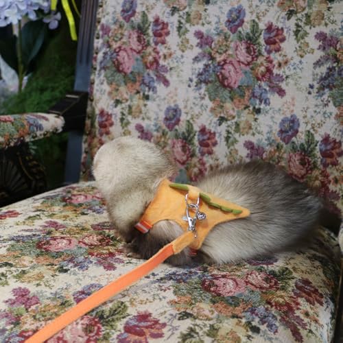 Image of Bearded Dragon Harness and Leash Set - Soft Fleece Dinosaur Vest with Safe Bell Adjustable Lizard Traction Rope Escape Proof Outdoor Walking Training Leash for Ferret Rat Kitten Puppy (Orange)