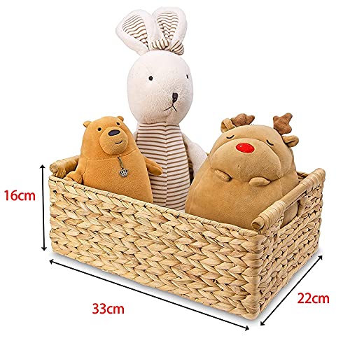 Petit Panier En Osier Avec Couvercle Et Poignée – Coffret Campagne Marron
