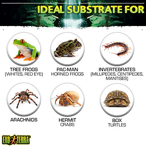 Exo Terra Plantage bodemsubstraat, 3 x 8,8 liter, 3 stuks (Pack van 1) - Afbeelding 6