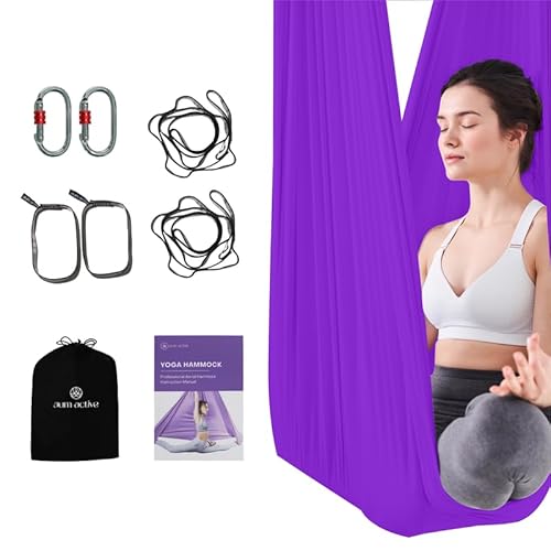 Aerial Silk Yoga Hammock & Swing for Home 5.5 Yards, Inversion Exercises, Starter Kit for All Levels - Durable with Extension Straps, Carabiners, and Pose Guide