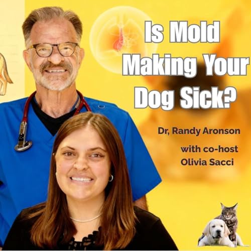 Stop Giving Your Dog THIS Antibiotic!