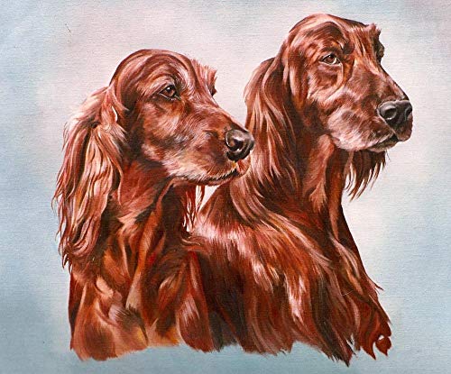 Peinture par numéros Kits Setter irlandais chien bricolage peinture par numéro Kits peinture à l'huile dessin toile décor à la maison cadeau Cover