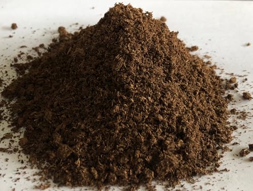 [ yǍ܁Evp] s[gX (yEېE۔́EʋC) Tbg < _DސA(ccWAu[x[)>