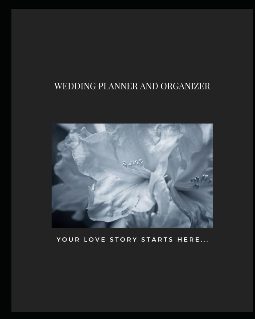 Wedding Planner & Organizer