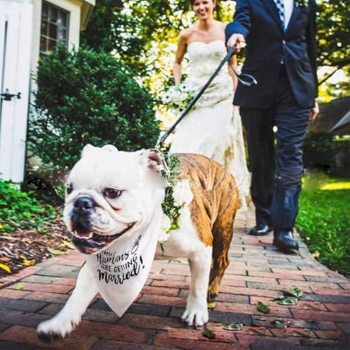 ThaiRoot Hund Hochzeiten Halstuch Weiß My Humans Are Getting Married Hochzeiten Bandana Atmungsaktiver Haustier Schal Triangel-Hundebandana-Schal Hundehalstuch für kleine, mittlere, große Hunde