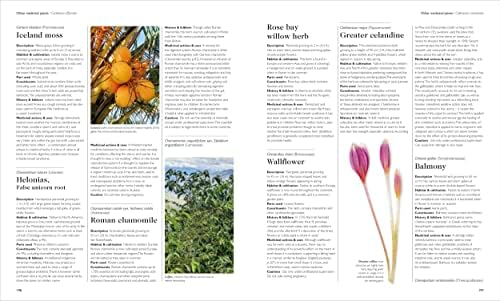 Encyclopedia of Herbal Medicine New Edition: 560 Herbs and Remedies for Common Ailments