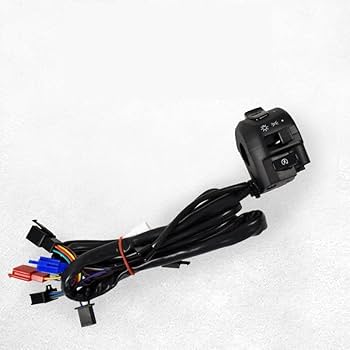 Switch ライト　3soji GenkINGさん専用 Switch ライト 3soji GenkINGさん専用 Switch ライト 3soji