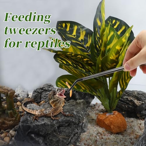 Image of Reptile Feeding Tongs, Stainless Steel Lizard Feeding Tongs, Aquarium Curved Feeding Tweezers for Reptiles with Rubber Tip, Terrarium Feeding Tongs 10.63 inch L, Black Silver Tone