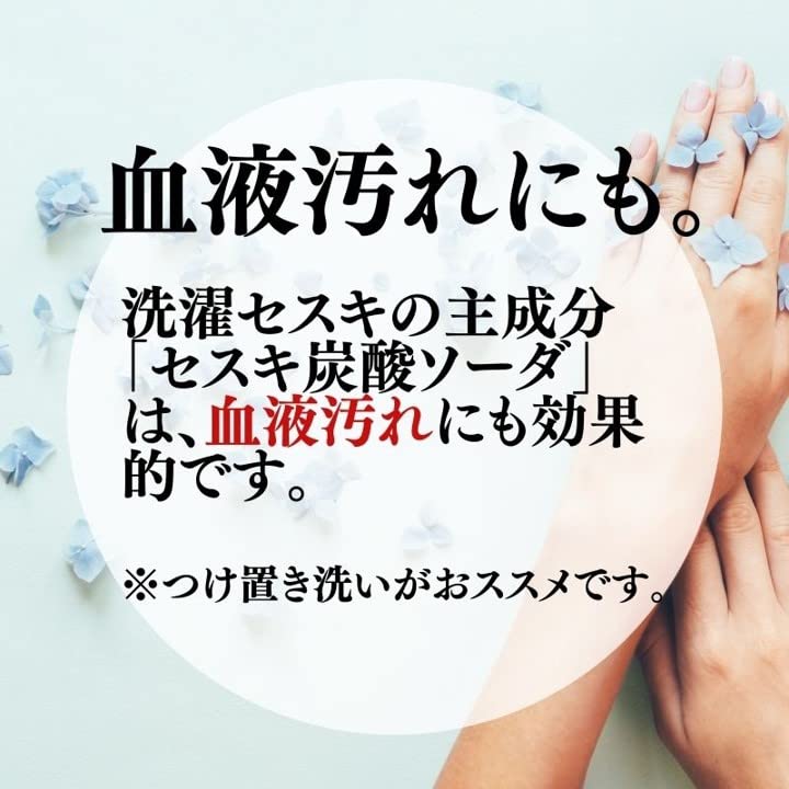 Amazon.co.jp: 丹羽久 自然派 洗濯用洗剤 セスキプラス 600g