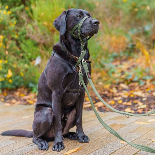 HALTI Doppelführleine - Multifunktionale Hundeleine zum Trainieren und Gassigehen mit Ihrem Hund. Leicht und mit Neopren gepolsterte. Für Welpen geeignet (Größe Klein, Waldgrün, 2m)