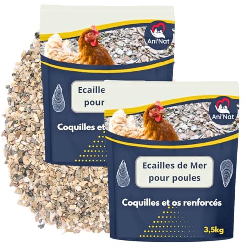 Conchas molidas para gallinas ponedoras y Palomas. Más Variedad de minerales Que Las Conchas de ostras. Minerales y Calcio para Conchas sólidas. (7kg)