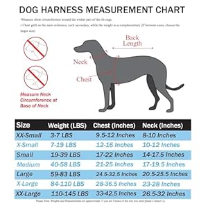 No-Pull-Reflective-Adjustable-Dog-Harness-With-Handle-Comfortable-Soft-All-Weather-Mesh-Easy-On-Puppy-Harness-For-Small-Medium-and-Large-Dogs-Blue-Small - Cucciolini Doodles   No-Pull-Reflective-Adjustable-Dog-Harness-With-Handle-Comfortable-Soft-All-Weather-Mesh-Easy-On-Puppy-Harness-For-Small-Medium-and-Large-Dogs-Blue-Small