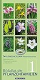 Ökologische Flora - Nieder- Österreichs Pflanzenwelt entdecken und bestimmen: Band 1 - Bidlatlas der Pflanzenfamilien