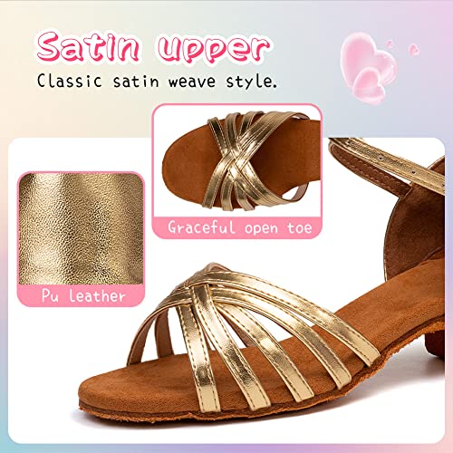 HIPPOSEUS Girls Latin Dance Shoes Low Heel Satin Ballroom Salsa Dance Practice Performance Dancing Shoes,Model 202GB2