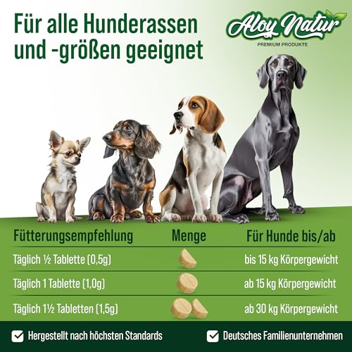 Gelenktabletten Hund | 150 Tabletten reichen für bis zu 10 Monate | hoher Grünlippmuschel Anteil in Vollfett-Qualität, Teufelskralle & MSM | Gelenktabletten für Hunde | stärken die Gelenkfunktion