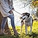 Hundeleine Doppelleine für Kleine Mittelgroße Hunde Führleine 3m Verstellbar mit 2 Karabiner Leine Hund Übungsleine Dog Lead Multifunktionale 3 Meter lang x 1,0 cm Braun