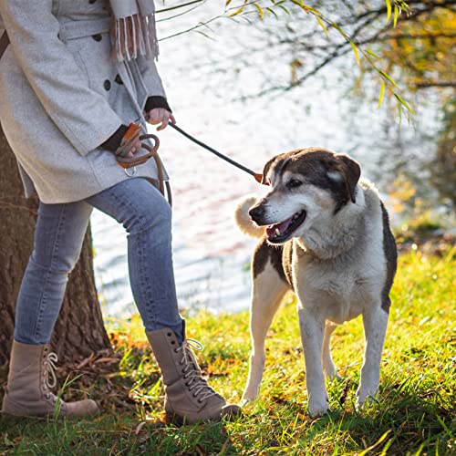 Hundeleine Doppelleine für Kleine Mittelgroße Hunde Führleine 3m Verstellbar mit 2 Karabiner Leine Hund Übungsleine Dog Lead Multifunktionale 3 Meter lang x 1,0 cm Braun