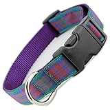 Plaid Dog Collar, Lindsay Tartan, Small, 5/8