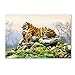 Tiger by The Macneil Studio, 12x19-Inch Canvas Wall Art
