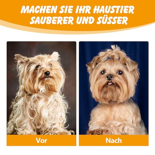 nuoshen Flohkamm zum Entfernen Flöhe, Haustierkamm Profi Flohkamm Rostfreier Stahl Läusekamm Staubkamm für Katzen und Hunde