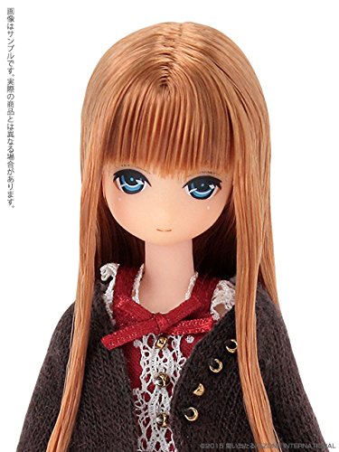 *送料込み ピコえっくす☆きゅーと Dreamy Girl リアン～コーデset Amazon | ピコえっくす☆きゅーと Dreamy Girl Lien コーデset | 人形