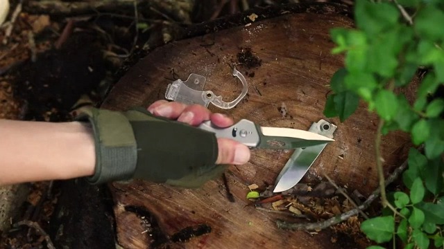 Amazon.co.jp: ROXON Replaceable Knife Blades for S802