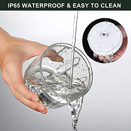 Electric Garlic Chopper,Food Chopper USB Rechargeable Garlic Press Masher / Blender, Small Food Processor with Three Blades ( 250ML ) Second Image