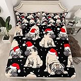lenzuolo con angoli con carlino e cappello di natale set di lenzuola per adolescenti e animali da compagnia di natale lenzuolo con angoli per gli amanti dei cani della camera singola