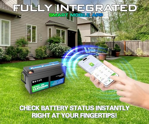 Image of 12 Volt 230Ah Lithium Golf Cart Battery, 12V LiFePO4 Battery, 200A BMS, 4000+ Cycles, 2.94 kWh Energy, 2.56kW Max Power Output, Perfect for Off-Grid, Home Storage, RV, Marine