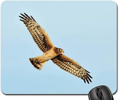 Mouse Pad - Harrier Hen Northern Flying Bird Sky Wildlife
