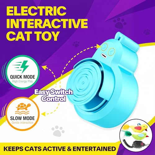 Image of Interactive Cat Toys for Indoor Cats: Automatic Electric Flying Bird Feather & Mouse Wand, Rechargeable Electric Hanging Play Chase Exercise Moving Enrichment Toy for Bored Kittens and Adult Cats
