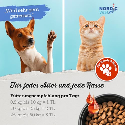 NordicVital Premium Lachsöl Hunde & Katzen 1000ml – 100% Natürliches Fischöl/Fish Oil aus Norwegen Lachs – Reich an Omega 3 & 6 Fettsäuren hochdosiert – Barf Öl abgefüllt in Deutschland