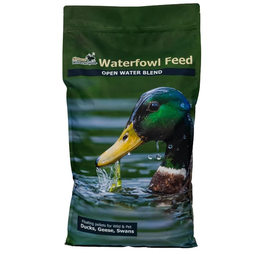 Natural Waterscapes Waterfowl Feed