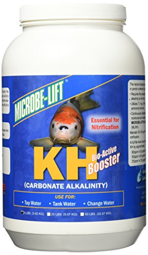 Ecological Microbe Lift KH Bio-Active Booster