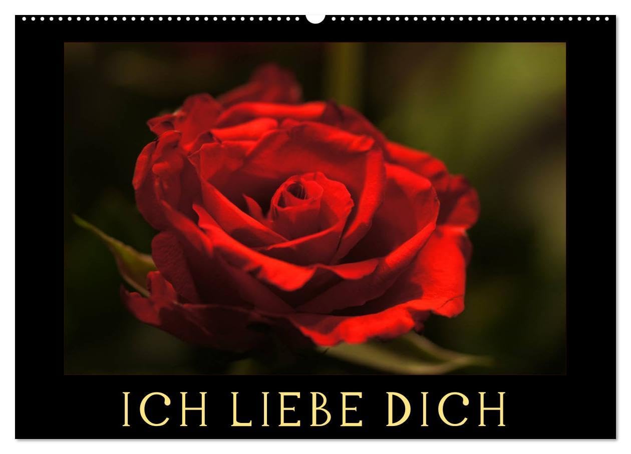 Ich liebe Dich (Wandkalender 2026 DIN A2 quer), CALVENDO Monatskalender: Ich liebe Dich - In den verschiedensten Sprachen der Welt unterlegt mit ... stimmungsvollen Bildern (CALVENDO Natur)