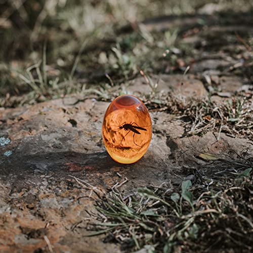 Funko, Toy Imagen adicional