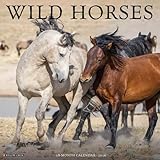 Wild Horses 2026 Wall Calendar