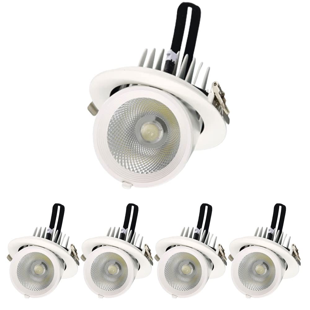 Éclairage encastré orientable avec garniture de déflecteur