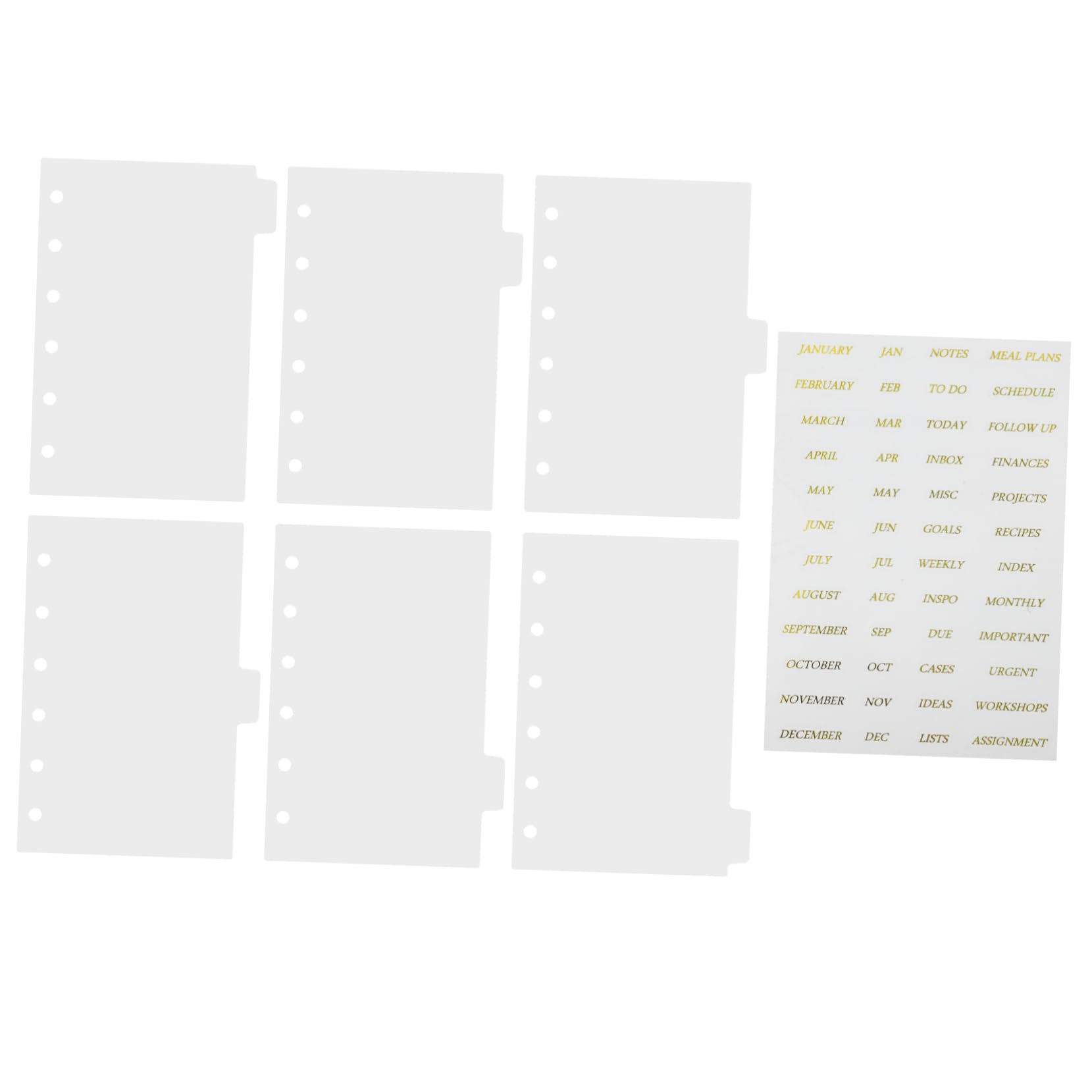 5sets Divisori Per Raccoglitori Trasparenti Con Anelli e Adesivi Dorati Di Pagine Separatrici Per Organizzazione Documenti e Appunti Per Scuola e Lavoro