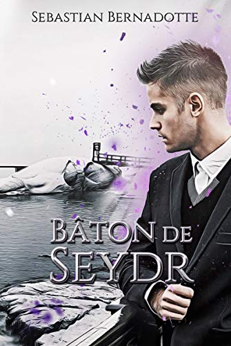Télécharger Bâton de Seydr Livre eBook France