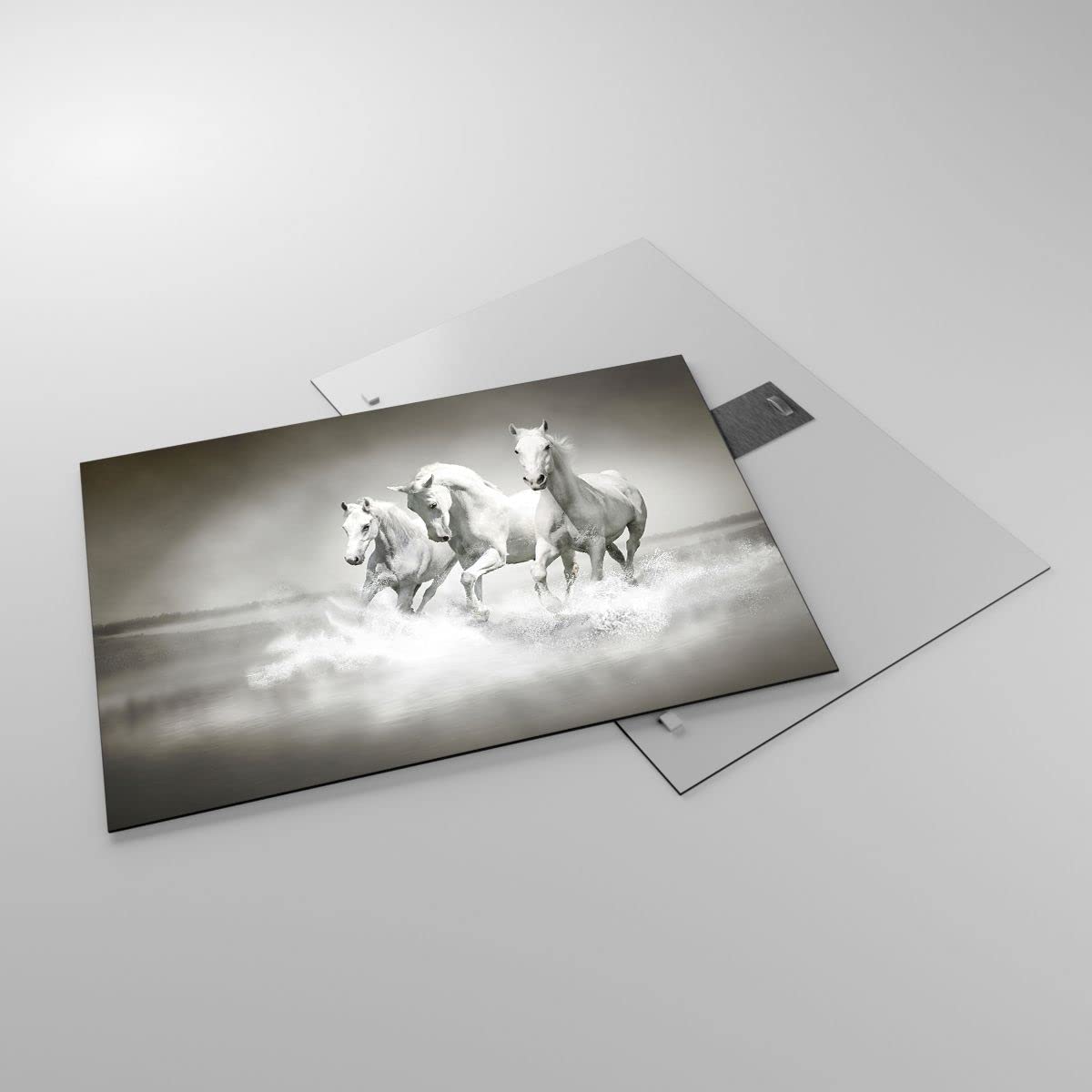 Vidrios Decorativos Caballo Naturaleza Animales Cuadro Sobre Vidrio