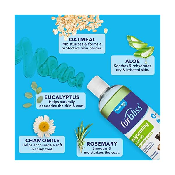 Furbliss Dog Shampoo & Conditioner with Essential Oils, Leaves No Wet Dog Smell, Cleans & Deodorizes Coat – Pure Bliss with Furbliss 16oz (Invigorating Shampoo) Furbliss Dog Shampoo & Conditioner with Essential Oils, Leaves No Wet Dog Smell, Cleans & Deodorizes Coat – Pure Bliss with Furbliss 16oz (Invigorating Shampoo)