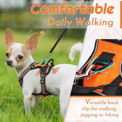 Image of Eagloo Dog Harness for Small Dogs, No Pull Pet Vest with 2 Leash Clips