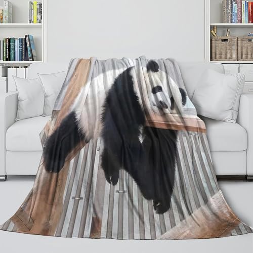 Plaid microfibre panda 3D jeté de salon inaltérable haute densité 150x200cm