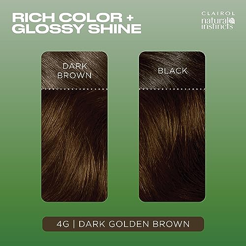 Image of Clairol Natural Instincts Demi-Permanent Hair Dye, 4G Dark Golden Brown | Ammonia‑Free, Vegan Hair Color with Coconut Oil & Aloe Vera | Pack of 3