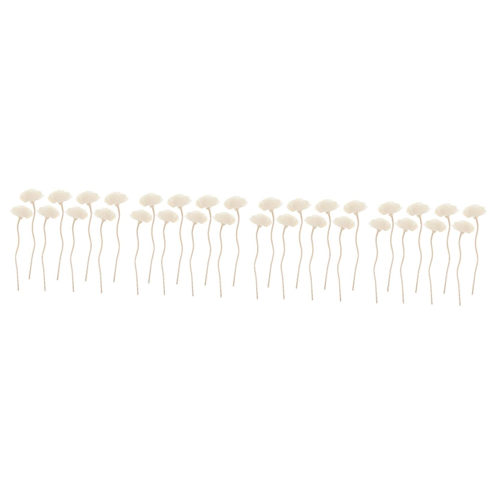 PRETYZOOM Diffuser Rattan 32 Stück Tong Grass Diffusor Nachfüllungen Stick Behandlung Duftstäbchen Für Ätherische Öle Diffusor Sticks Oud Pure Diffusoren Steuerung des Duftdiffusors Für Zuhause