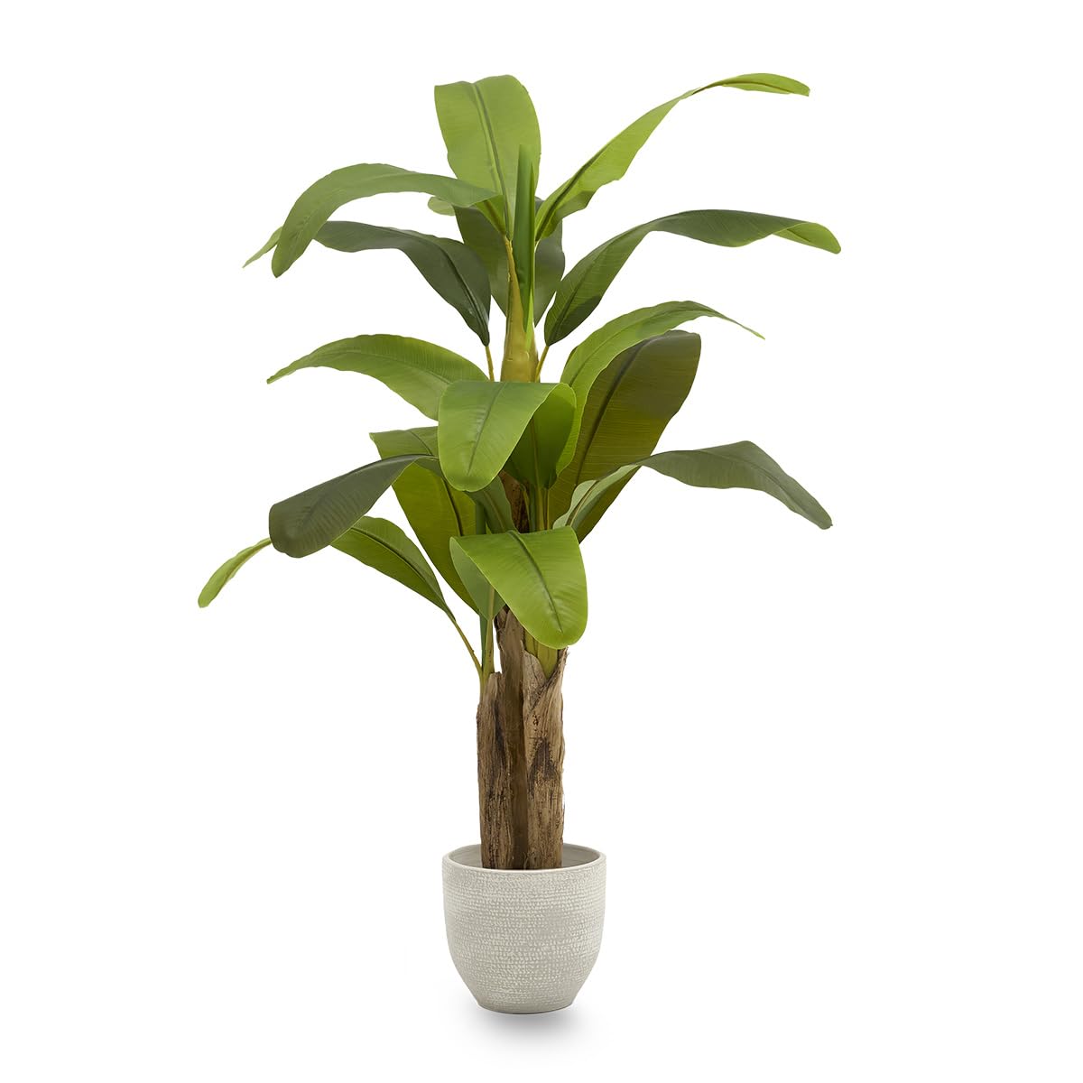 MAIA SHOP Platanera Artificial 150 cm con Tronco Natural – Planta Artificial Realista, Árbol Decorativo Tropical para Hogar, Restaurantes y Proyectos de Interiorismo 150 cm Platanera